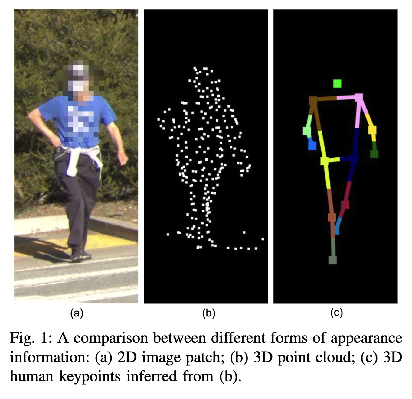 Pedestrian Crossing Action Recognition and Trajectory Prediction with 3D Human Keypoints